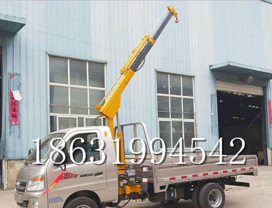 屏边苗族自治县车载吊机遥控升降机车载吊机12V液压车载吊移动出租室内吊机小型